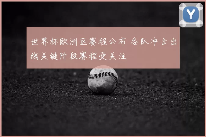 世界杯欧洲区赛程公布 各队冲击出线关键阶段赛程受关注