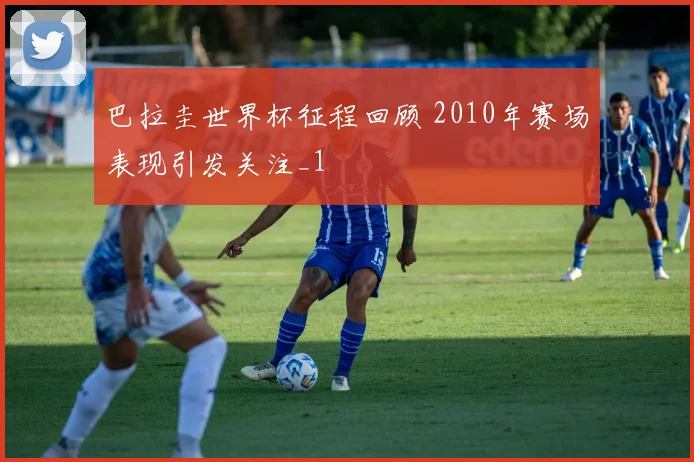 巴拉圭世界杯征程回顾 2010年赛场表现引发关注_1