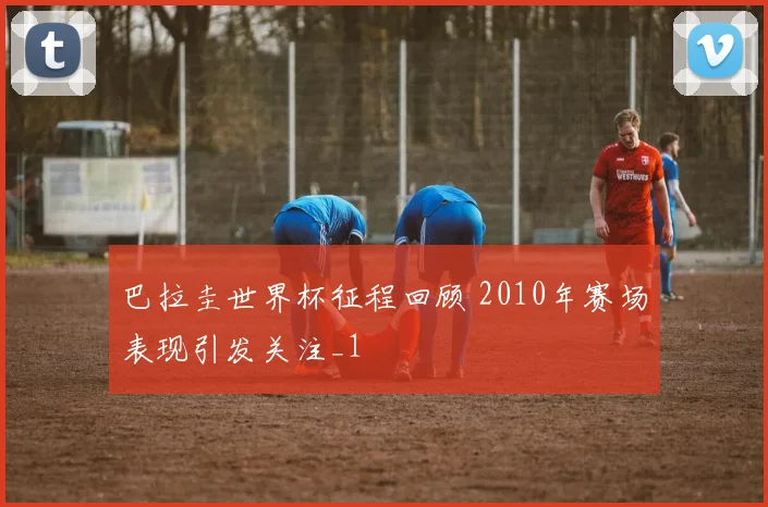 巴拉圭世界杯征程回顾 2010年赛场表现引发关注_1